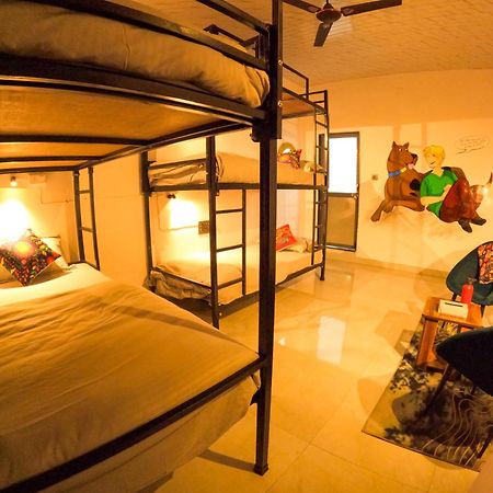 ホテル Funky Backpackers ウダイプル エクステリア 写真